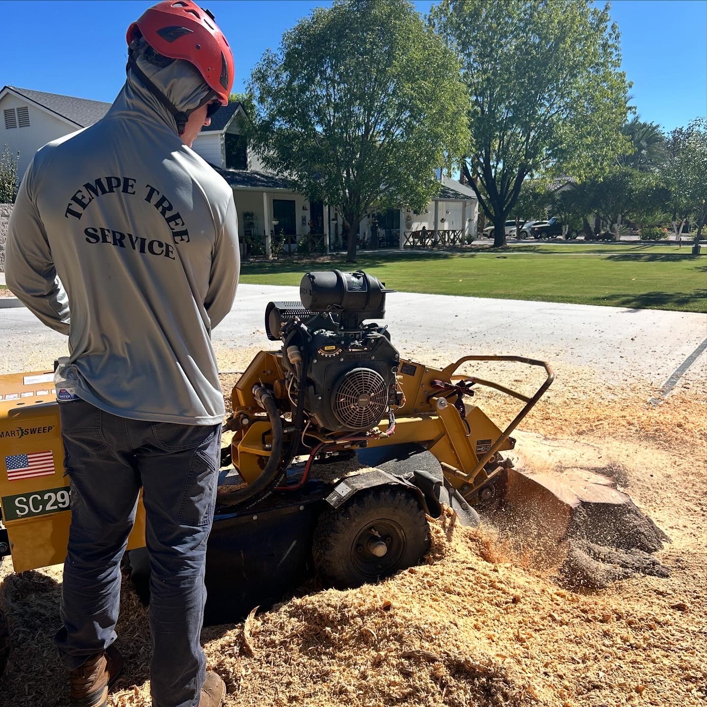 Stump Removal