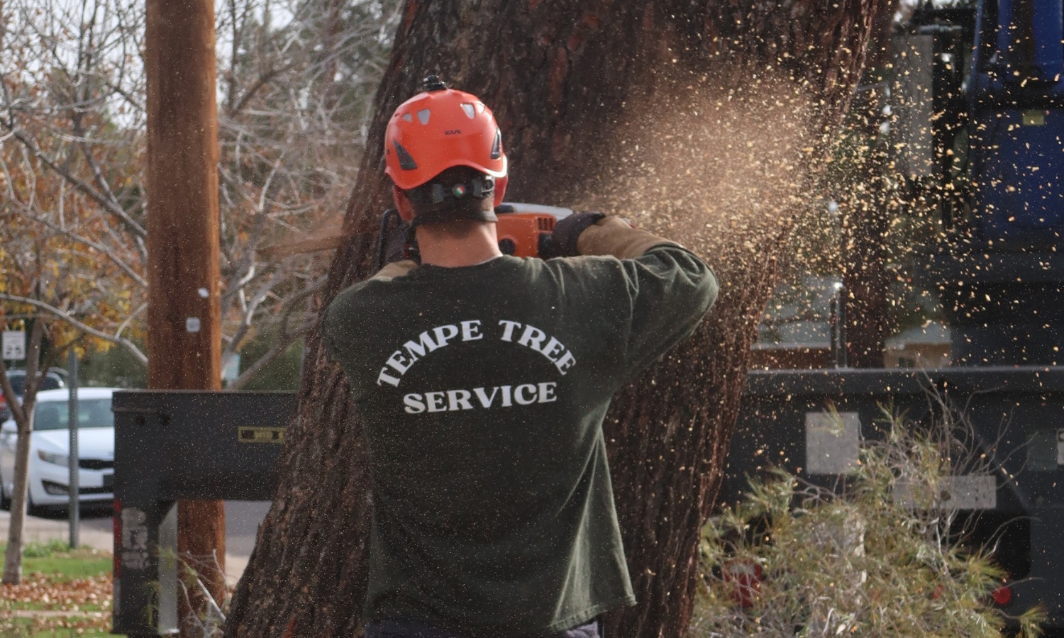 Commercial Services